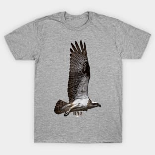 Osprey_01 T-Shirt